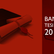 Bando Tesi di Laurea 2015