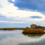 riserva naturale regionale sentina