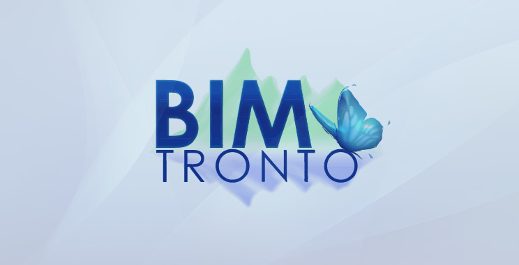 Assemblea BIM Tronto